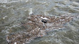 В Трехгорном с МУПа взыскали более 16 млн рублей за загрязнение воды В Трехгорном с МУПа взыскали более 16 млн рублей за загрязнение воды